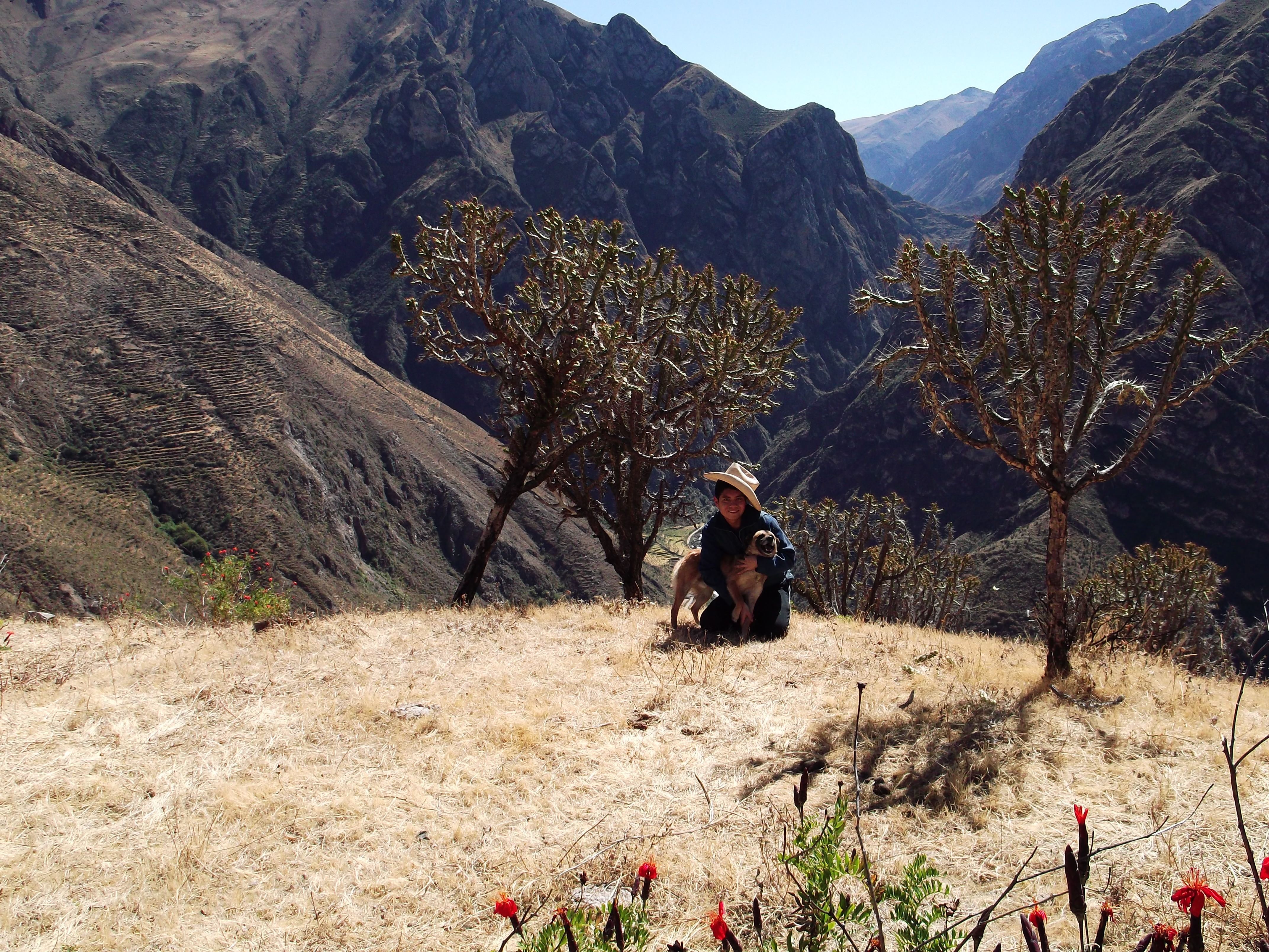 Bruce Rommel Villegas Alva - Miraflores Yauyos Perú