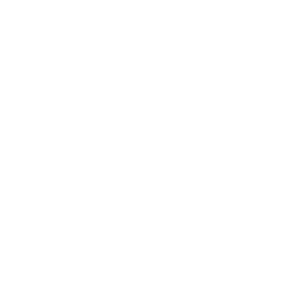 Bruce Rommel BR Official Logo White Color